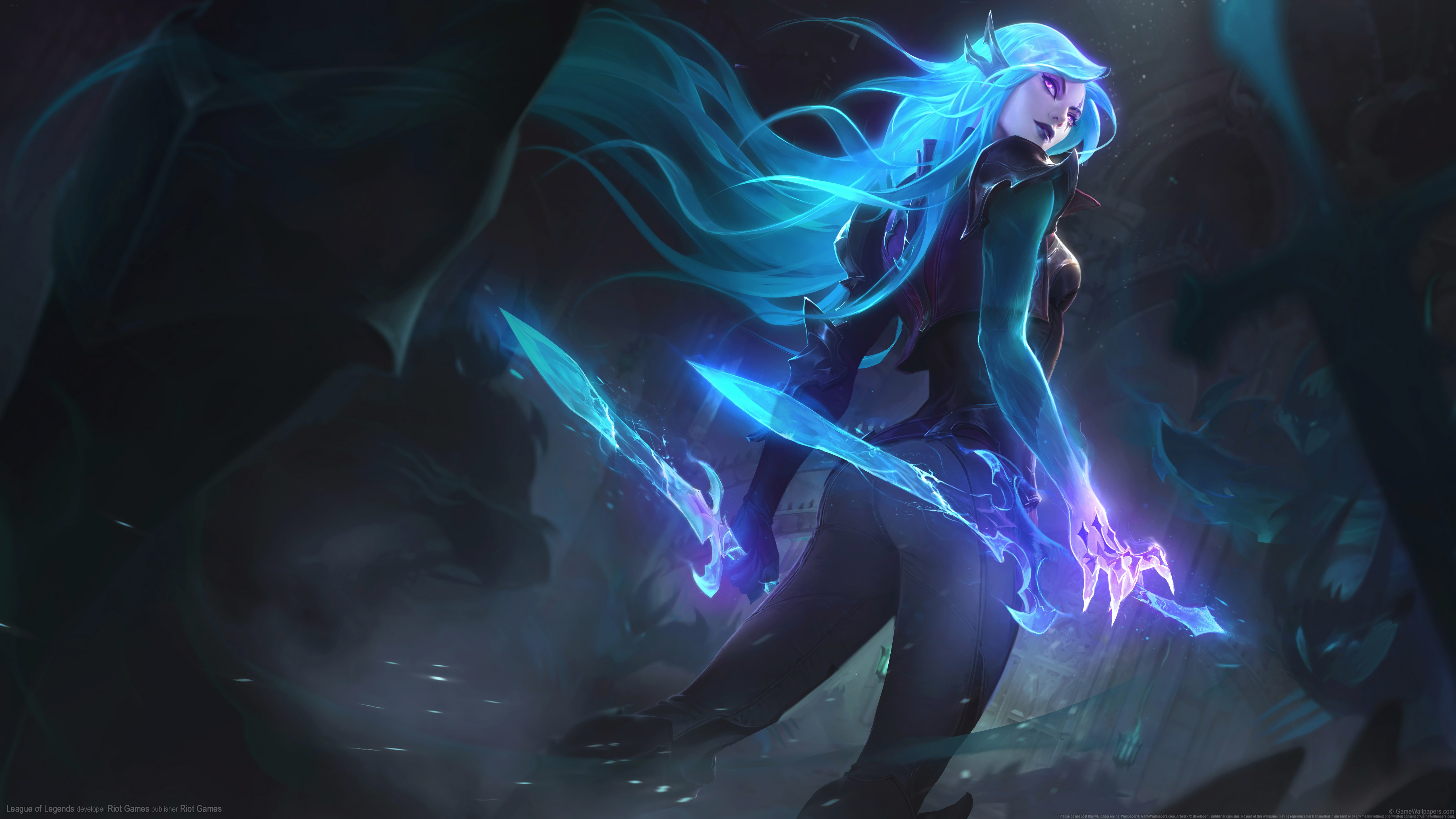 会案上的果 会案上的果